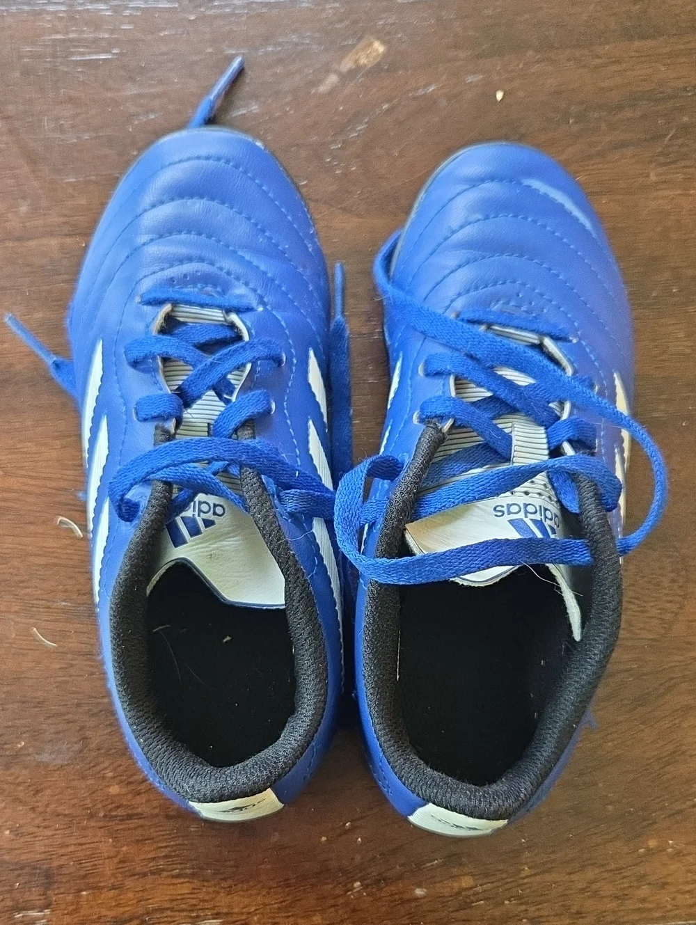 Adidas Kids' Blue Indoor Soccer Cleats